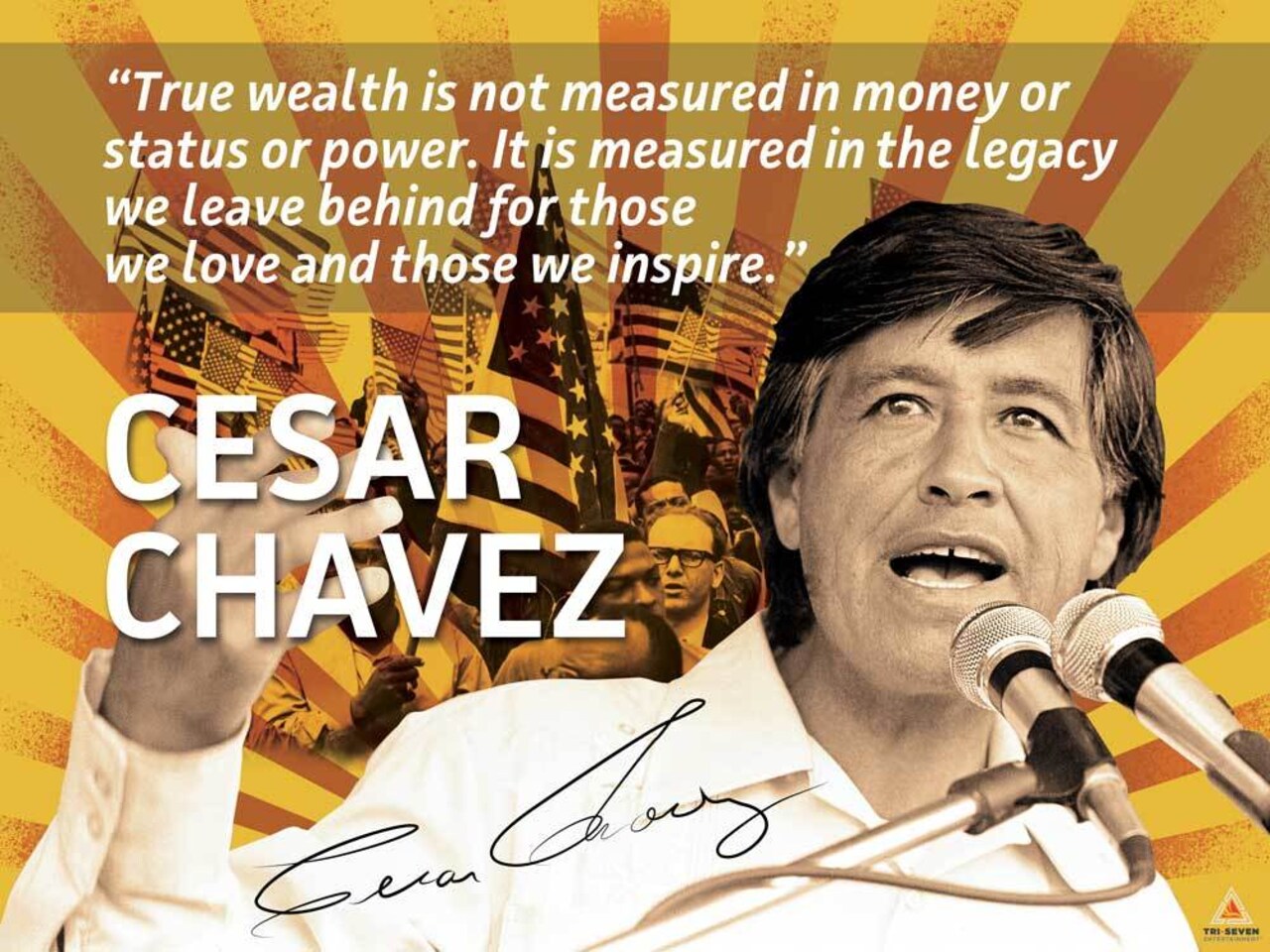 Cesar Chavez Poster Quote Labor Activist Education Art Print, 24"x18", Unframed